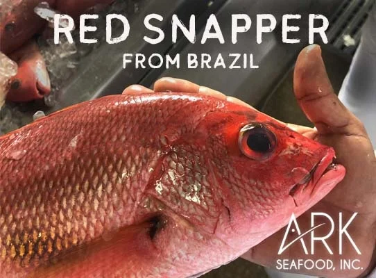 Snapper — ark seafood inc.